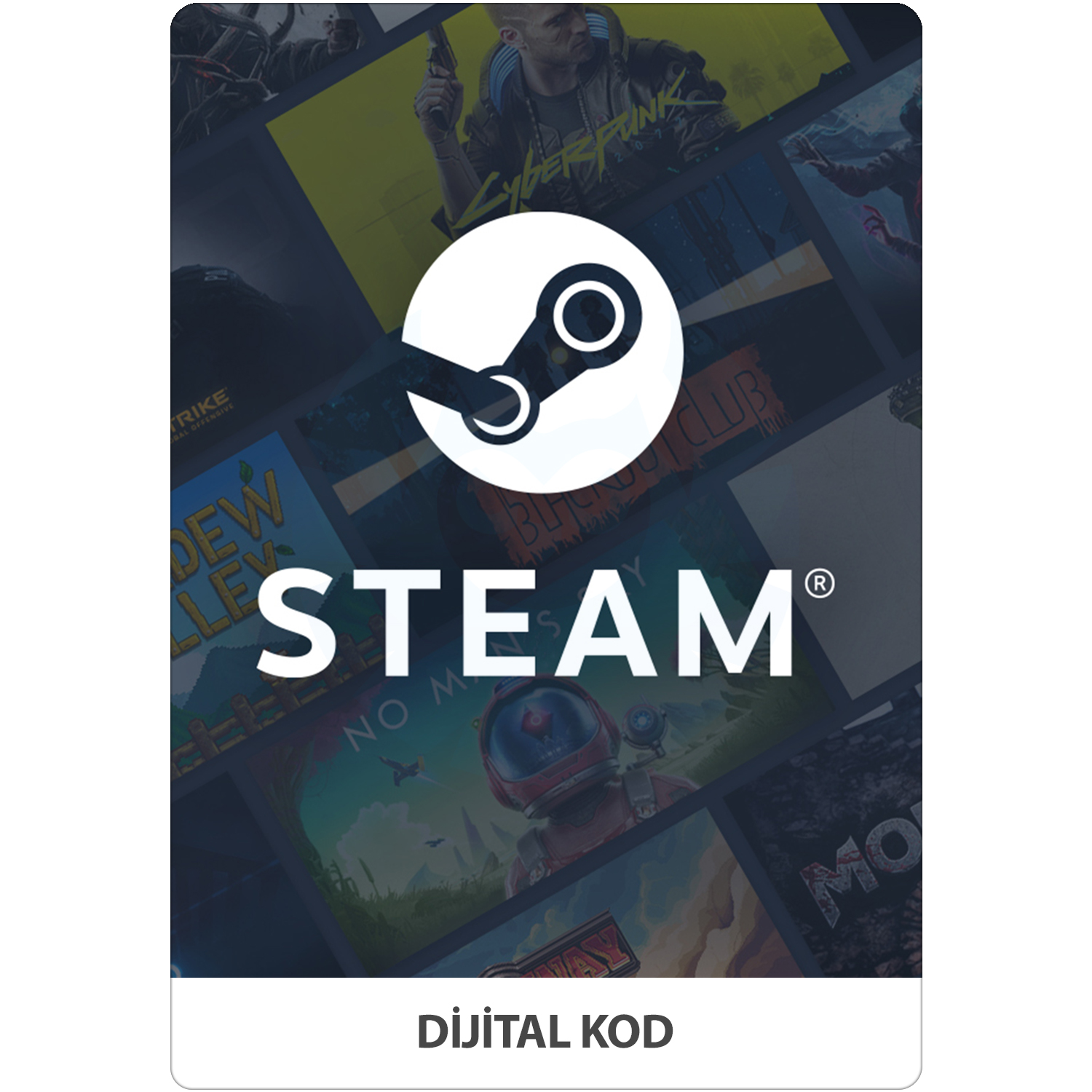 100 tl steam фото 67